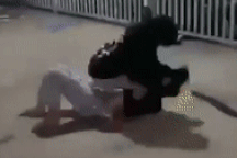 Thiếu nữ 15 tuổi bị đánh hội đồng, lột áo ở TPHCM