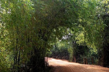 Về quê chồng ăn Tết