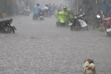 Mưa lớn, phố núi thành... sông