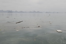 Rác trôi trên Vịnh Hạ Long