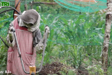 Kỳ lạ ngôi làng ở Nhật Bản: Vỏn vẹn 27 cư dân nhưng hàng trăm bù nhìn đứng ngồi khắp nơi