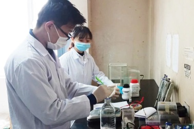 Sinh viên nghiên cứu thành công chống bệnh bạc lá lúa cho người nông dân