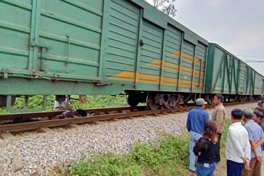 Xe tải băng qua đường sắt bất cẩn bị tàu hỏa tông, tài xế chết tại chỗ