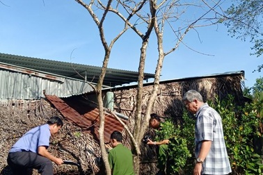 Vụ chặt cây trên đất mua, suýt ngồi tù: Coi thường pháp luật hay cậy quyền cậy thế?