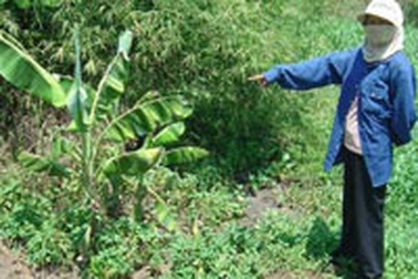 Đà Nẵng: 2.000 hộ dân “ngạt thở”