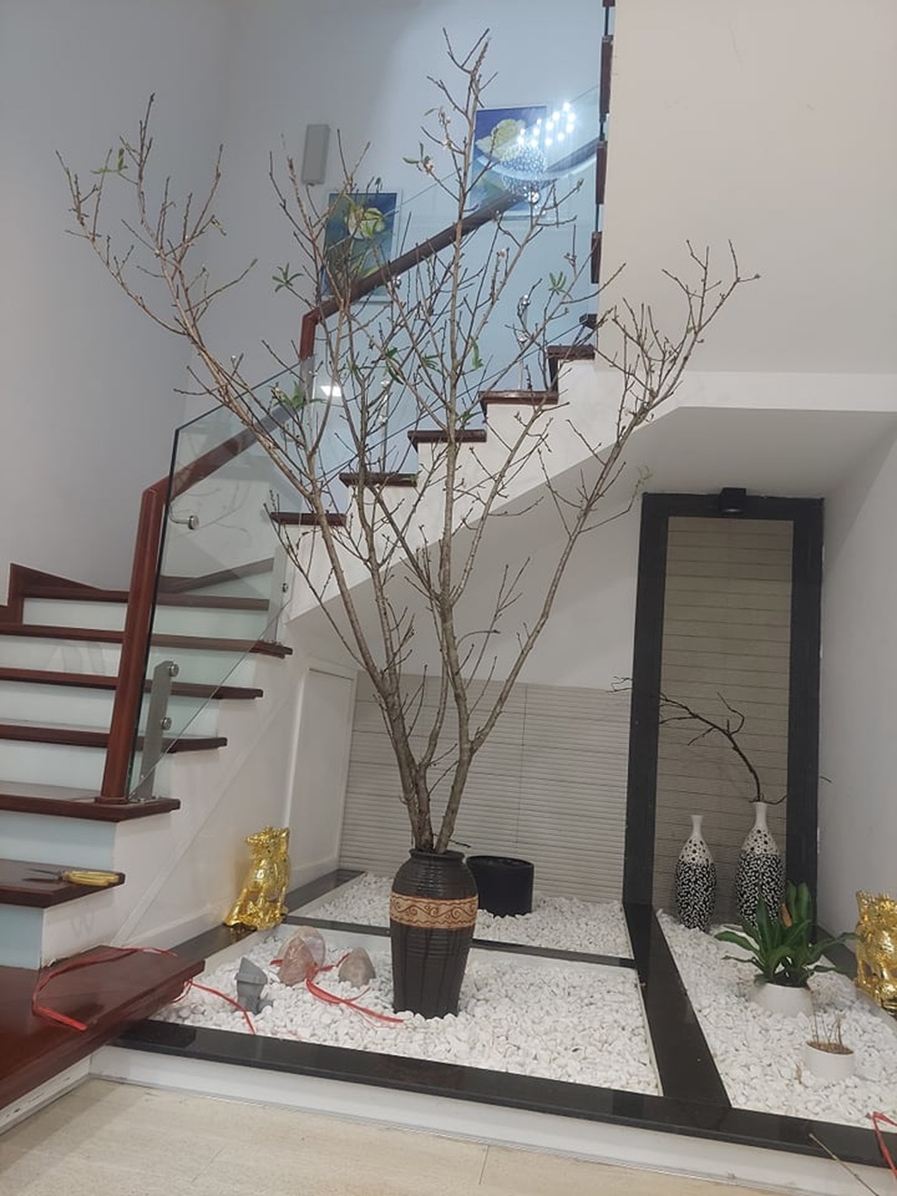 Không khí lạnh về, nhiều người đua nhau săn đón đào nở sớm - 2 Không khí lạnh về, nhiều người đua nhau săn đón đào nở sớm - 2