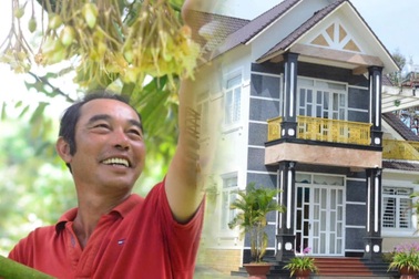 Khởi nghiệp ở vùng đất mới, nông dân thu về 15 tỷ đồng mỗi năm