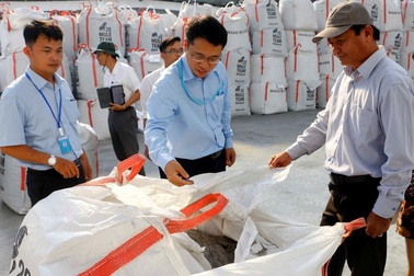 Tìm phương án xử lý tro bay từ nhà máy xử lý rác sinh hoạt