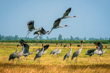 Các nhà báo tổ chức triển lãm gây quỹ từ thiện nhân ngày Báo chí Việt Nam