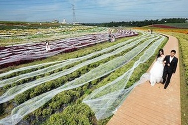 Cô dâu mặc váy cưới dài 4,8 km