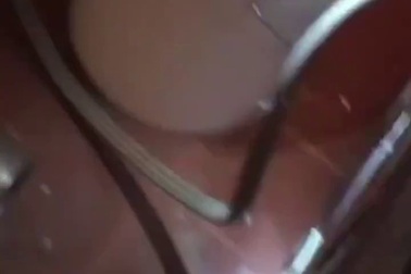 Kinh hãi phát hiện 2 con rắn ẩn náu bên trong máy sấy quần áo