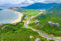 Chuyên gia hiến kế giúp Bình Định thu hút "đại bàng"