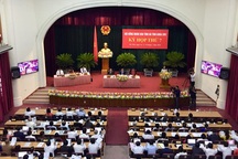 Thất bại của “dự án bò lớn nhất miền Trung” làm nóng nghị trường