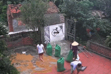 Clip đẹp về "tình làng, nghĩa xóm" nông thôn Việt khiến dân mạng cảm động