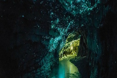 Vẻ đẹp lung linh, huyền ảo của hang đóm đóm ở New Zealand