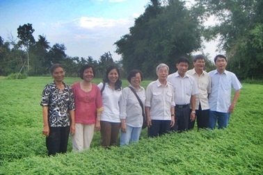 Trung tâm của dược liệu sạch