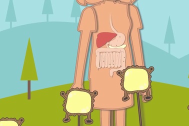 Cách lợi khuẩn hỗ trợ cho sức khỏe đường ruột