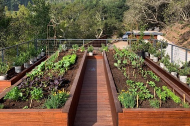 Cô gái trẻ lập công ty biến ước mơ làm vườn của khách thành hiện thực