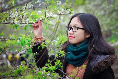 Giới trẻ đổ xô về Mộc Châu ngắm hoa mận trắng