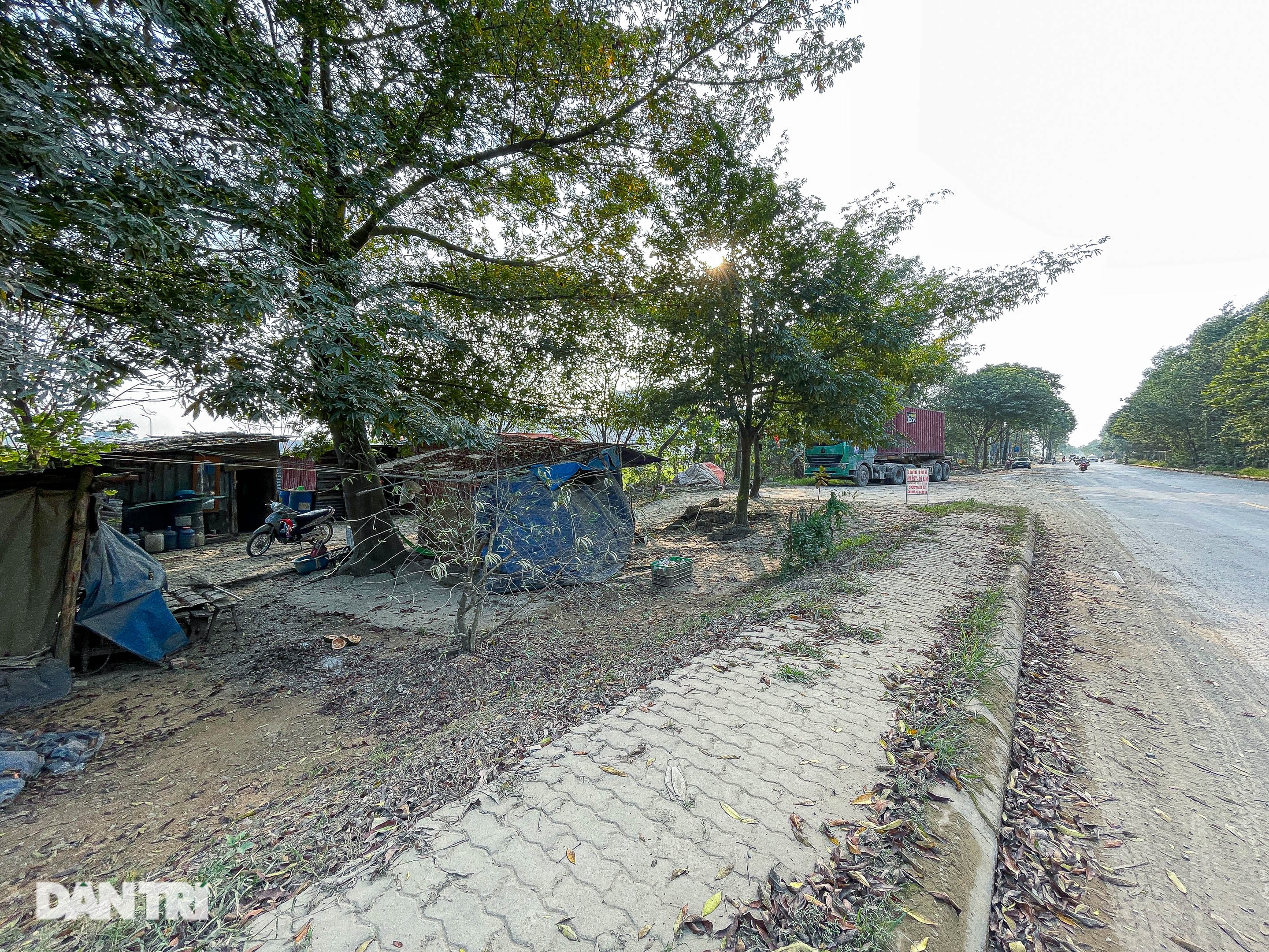 हनोई में अधिकारियों से बचते हुए जंगली पक्षियों के व्यापार का हलचल भरा दृश्य - 1 Cảnh buôn bán chim trời tấp nập né cơ quan chức năng ở Hà Nội - 1