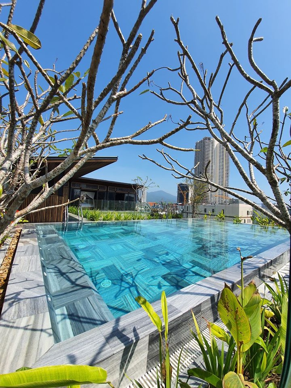 Tòa nhà ở Đà Nẵng “ẩn giấu” cả khu vườn nhiệt đới tuyệt đẹp bên trong - 7 Tòa nhà ở Đà Nẵng “ẩn giấu” cả khu vườn nhiệt đới tuyệt đẹp bên trong - 7