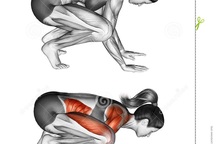 Động tác yoga tác động tới các cơ như thế nào?