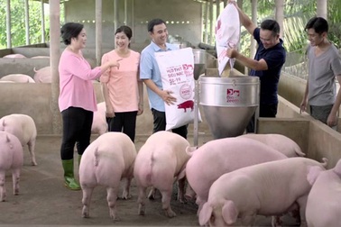 Masan đầu tư chiến lược nhằm hỗ trợ người chăn nuôi