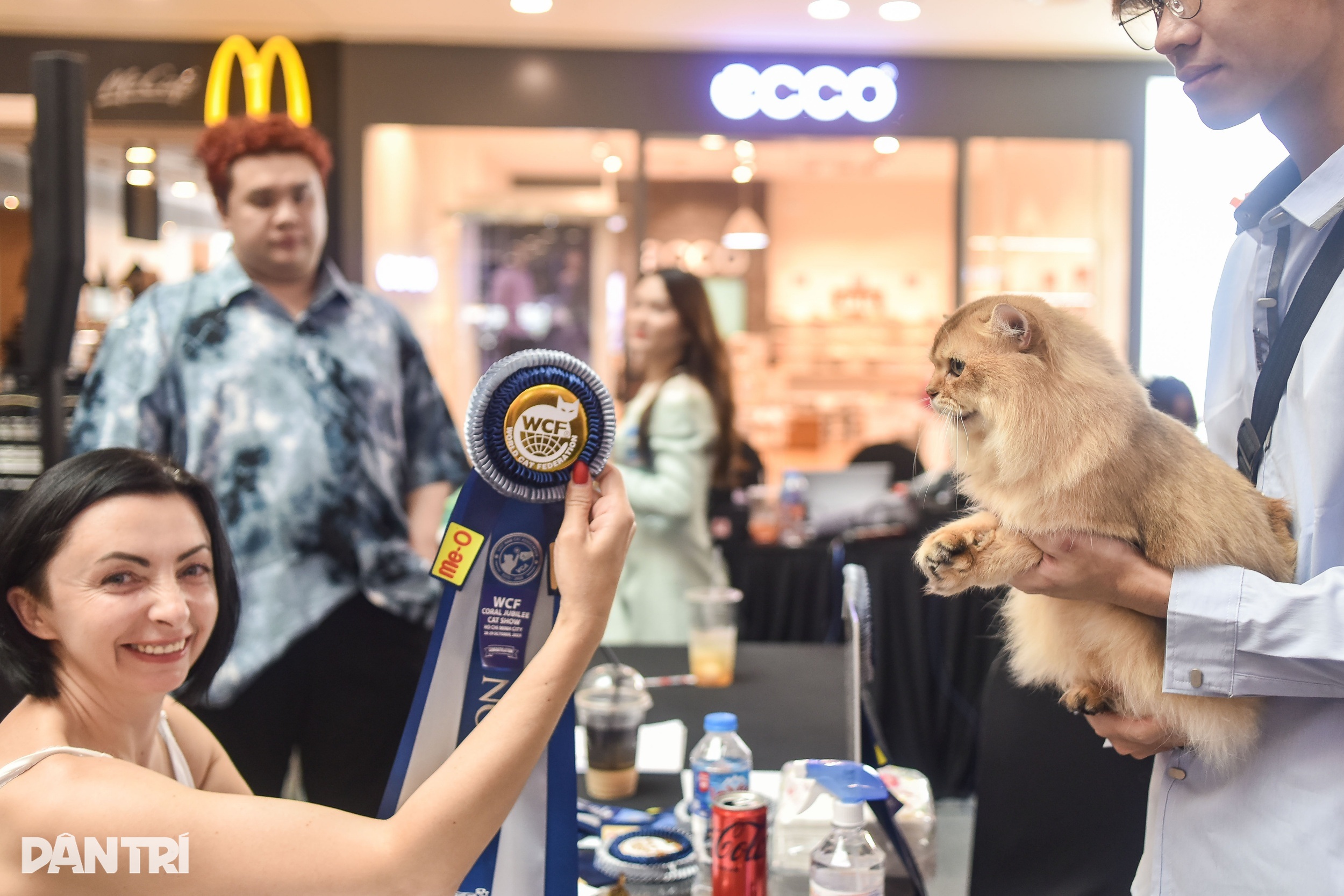 ویتنامی بلی نے جنوب مشرقی ایشیائی بلیوں کی خوبصورتی کا مقابلہ جیت لیا - 4 Mèo Việt Nam thắng giải cuộc thi sắc đẹp mèo Đông Nam Á - 4