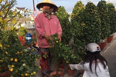 Hoa, kiểng ế ẩm, đồng loạt “xả hàng” chiều 30 Tết