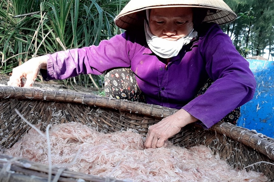 Ngư dân xứ Thanh trúng đậm lộc biển những ngày cuối năm - 16 Ngư dân xứ Thanh trúng đậm lộc biển những ngày cuối năm - 16