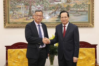 Chuyển hướng đào tạo nhân sự Việt thay thế chuyên gia nước ngoài