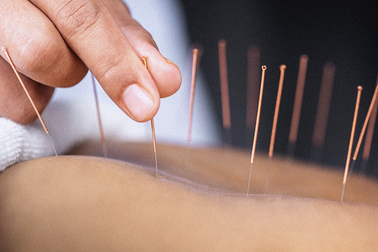 Nâng cao chất lượng bác sĩ y học cổ truyền theo chuyên khoa sâu
