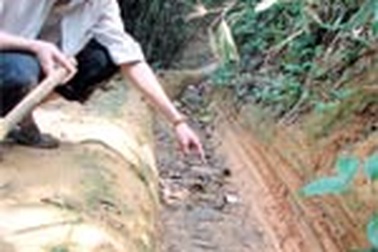 Rừng đầu nguồn Thượng Cửu - “sân chơi” của lâm tặc