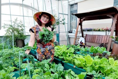Vườn rau trái sum suê, thu hoạch "mỏi tay" của  nữ gia chủ ở Quy Nhơn