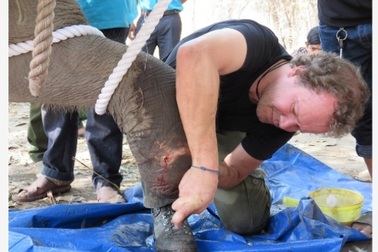 Tổ chức Động vật Châu Á tài trợ 50.000 USD giúp tỉnh Đắk Lắk bảo tồn voi