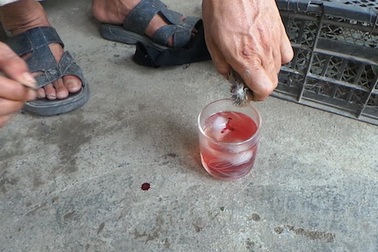 "Cơn sốt" săn lùng chim sẻ để.... cường dương