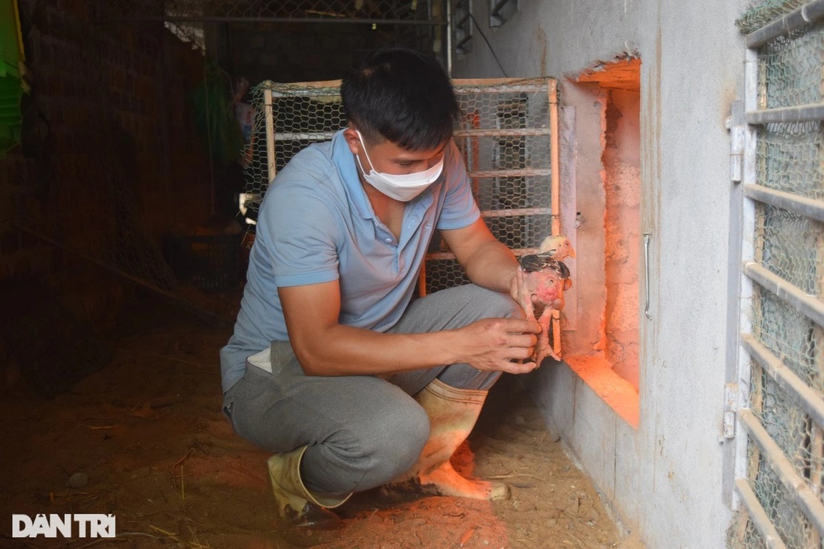 Rời Nhật Bản về quê, chàng trai tạo sự khác biệt trong nghề nuôi cá lồng - 7 Rời Nhật Bản về quê, chàng trai tạo sự khác biệt trong nghề nuôi cá lồng - 7