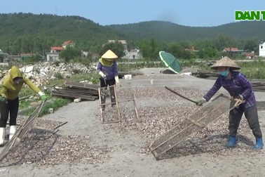 Phụ nữ làng biển kiếm thêm thu nhập từ việc phơi cá thuê