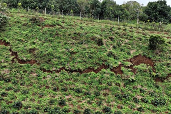 Chuyên gia địa chất khảo sát tình trạng sạt lở ở Lâm Đồng