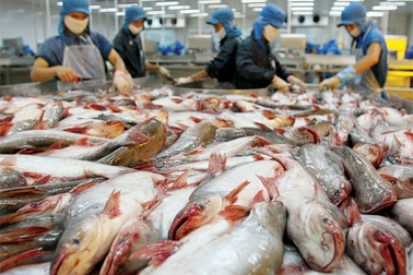 Úc tăng kiểm soát hàng thuỷ sản Việt Nam