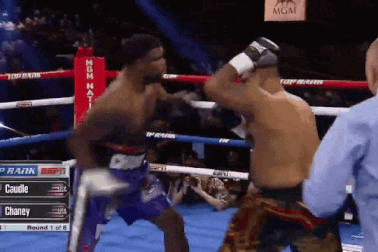 Võ sĩ tung ra cú đấm kinh hoàng, đối thủ 120kg bay khỏi sàn đấu