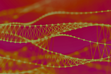 Tìm thấy các biến thể di truyền ngăn ngừa bệnh béo phì và tiểu đường