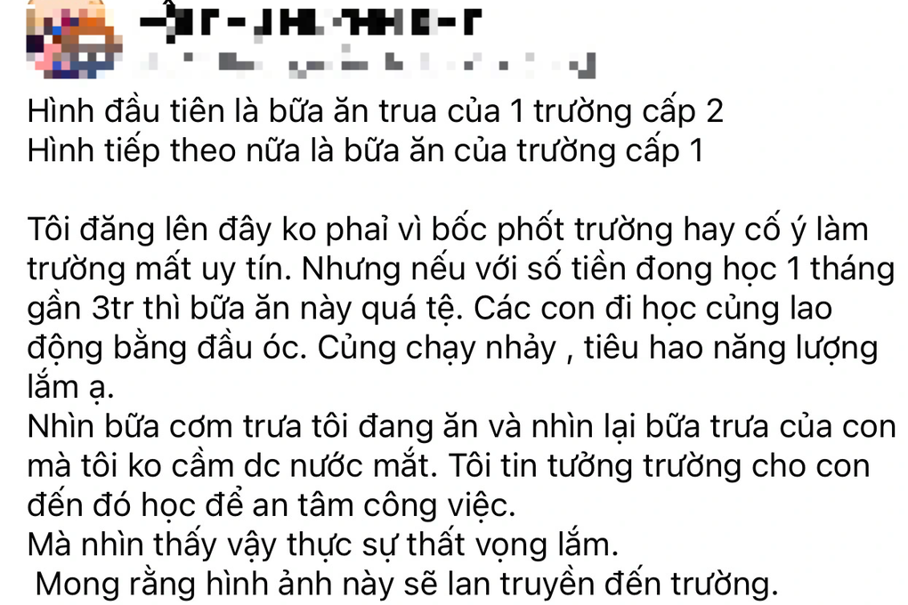 Suất ăn trưa như để giảm cân tại Trường Tiểu học Quốc tế - 2