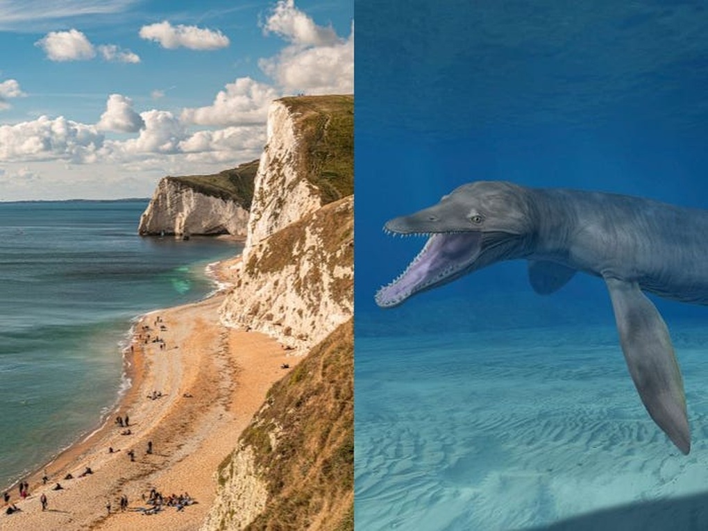 Bờ biển Jurassic ở Dorset và hình minh họa quái vật Pliosaur (Ảnh: Getty images).