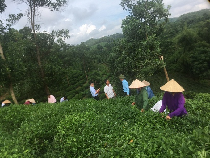 Thái Nguyên: Đinh Hóa chú trọng đào tạo nghề cho lao động nông thôn  - Ảnh 1.