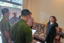 Bắt tạm giam nữ giám đốc do trốn thuế 3,5 tỷ đồng