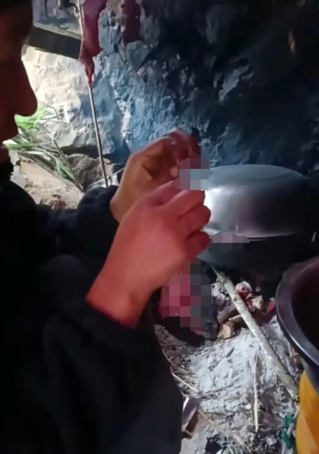 Cô gái 25 tuổi ăn 50 con chuột để sinh tồn giữa đảo hoang - 2 Cô gái 25 tuổi ăn 50 con chuột để sinh tồn giữa đảo hoang - 2