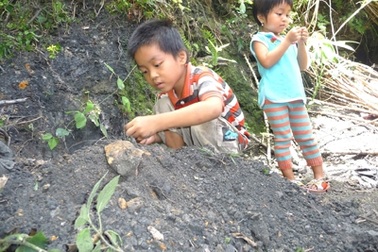 Hoang mang đất đen gây ung thư