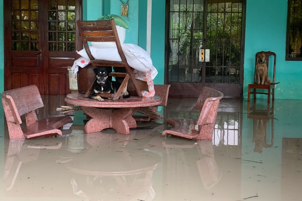 Bình Dương cảnh báo triều cường đạt đỉnh gây ngập vùng ven sông Sài Gòn - 1 Bình Dương cảnh báo triều cường đạt đỉnh gây ngập vùng ven sông Sài Gòn - 1