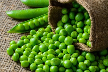 Ăn gì để tăng hàm lượng Estrogen trong cơ thể nữ giới?